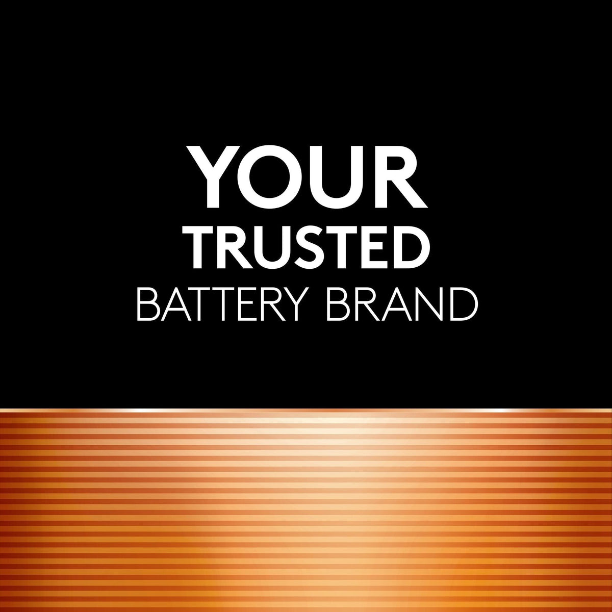 Coppertop AAA Alkaline Batteries, All Purpose, 10-pk