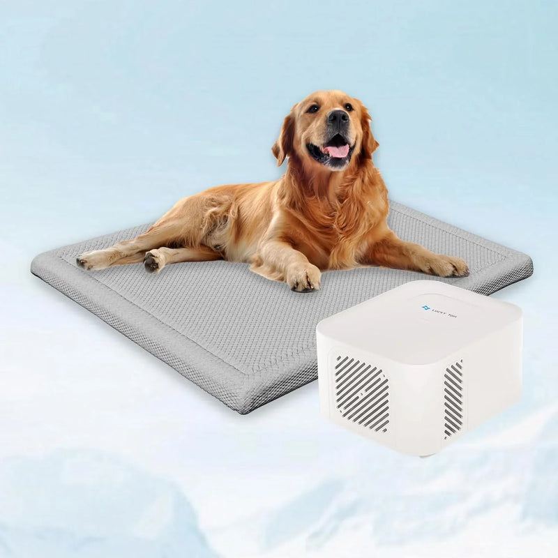 Pet Bed Cooling System, Consistent Warm and Cold Water Pad, No Electric Shock or Chemical Gel Needed, Machine Washable Bed, Ideal for Home and Crates (Cooling & Heating Green, 41" x 28") O5081