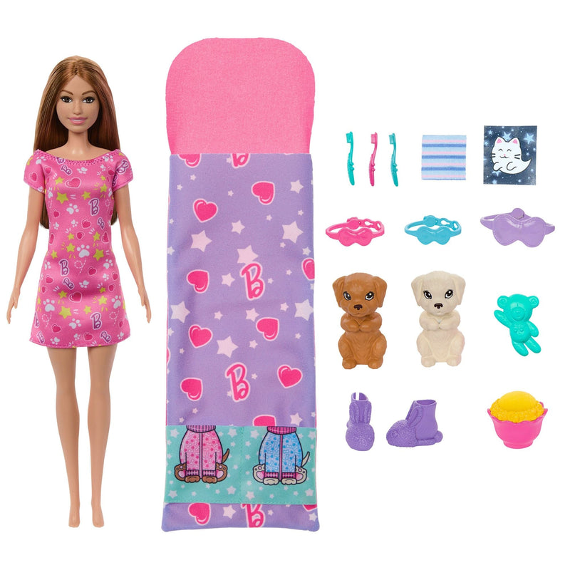 Skipper Doll & Puppy Slumber Party Playset, Kids Ages 3+ W6423