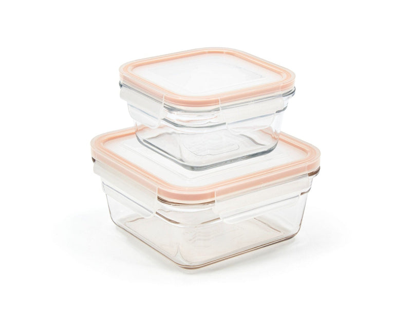 Clear Transparent Food Storage Container Set, 4-pc V4260